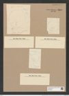 Podosira hormoides var. glacialis Grun. (de-Toni-Nr.: Genus 217, Species 5472) Zeichnungen Sammlung Grunow Nr. 9395 (NHMW-BOT-W0379234)